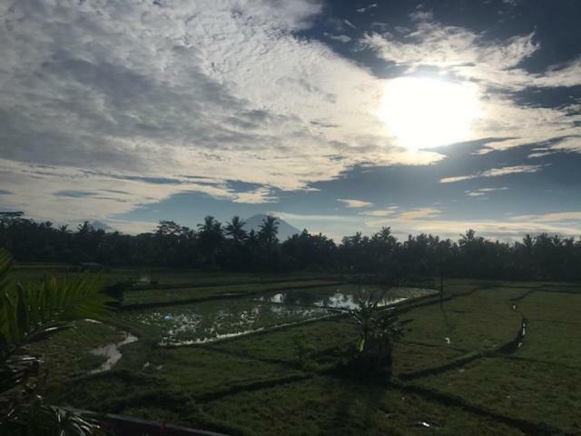 Heavenly View Villa Ubud Eksteriør bilde